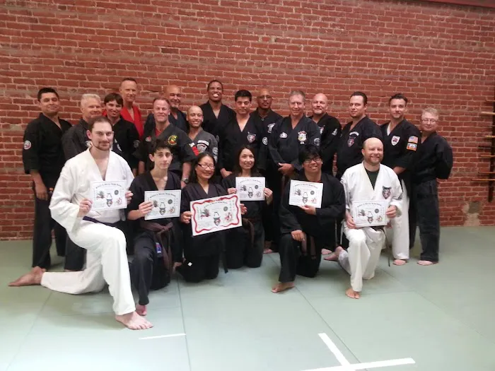 American Kenpo Karate Picture 1