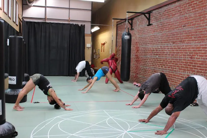 American Kenpo Karate Picture 5