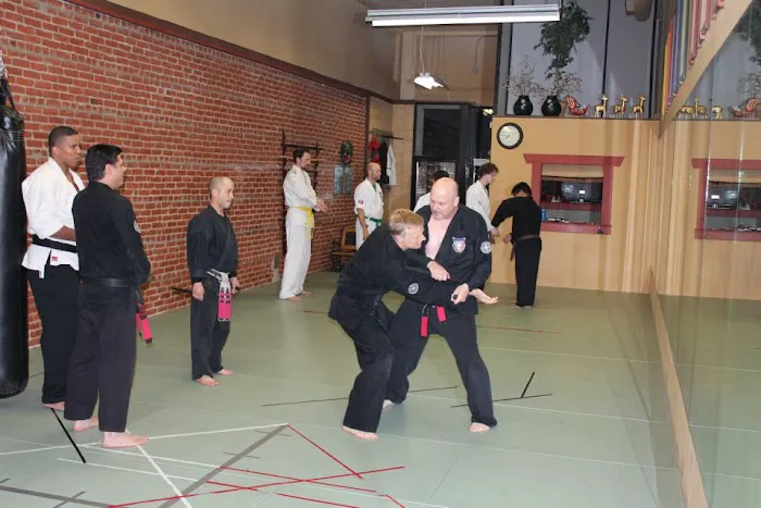 American Kenpo Karate Picture 6