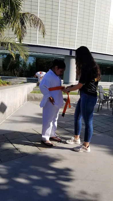 Scotty's Taekwondo Picture 7