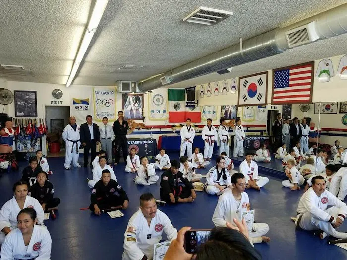 Umana's Taekwondo School Martial Arts Picture 8