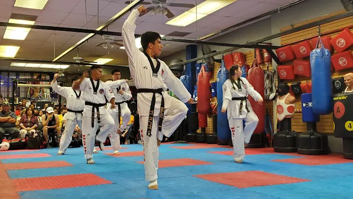 Wolf Taekwondo Dojang Picture 5