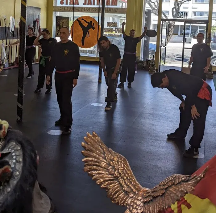 Shan Tung Kung Fu Assoc Picture 1