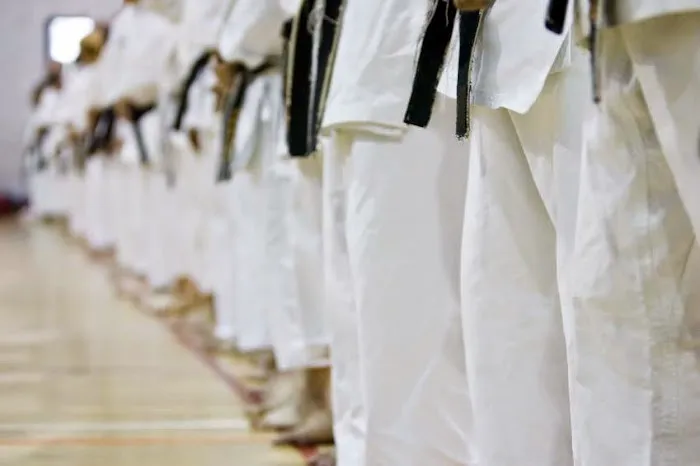 Villari's Martial Arts Center, Duarte Picture 1