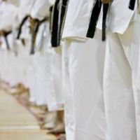 Villari's Martial Arts Center, Duarte ico