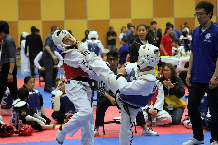 The Martial Way Picture 9