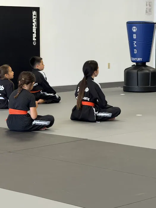 Beyond Martial Arts Burbank Picture 4