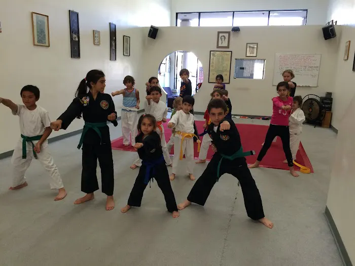 Fred Villari’s Studios of Self Defense Picture 9