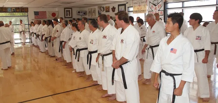 INTERNATIONAL KARATE ASSOCIATION, INC. Picture 6