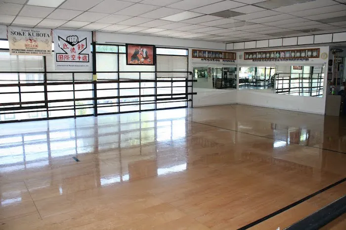 INTERNATIONAL KARATE ASSOCIATION, INC. Picture 8