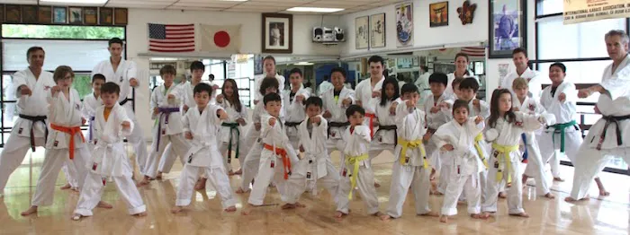 INTERNATIONAL KARATE ASSOCIATION, INC. Picture 5