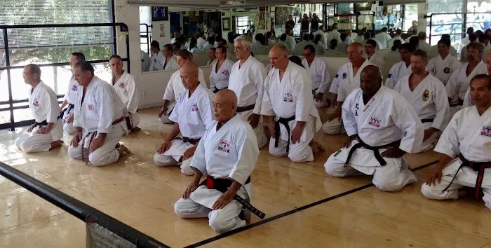 INTERNATIONAL KARATE ASSOCIATION, INC. Picture 2