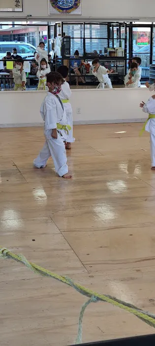 INTERNATIONAL KARATE ASSOCIATION, INC. Picture 3