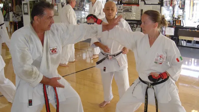 INTERNATIONAL KARATE ASSOCIATION, INC. Picture 9