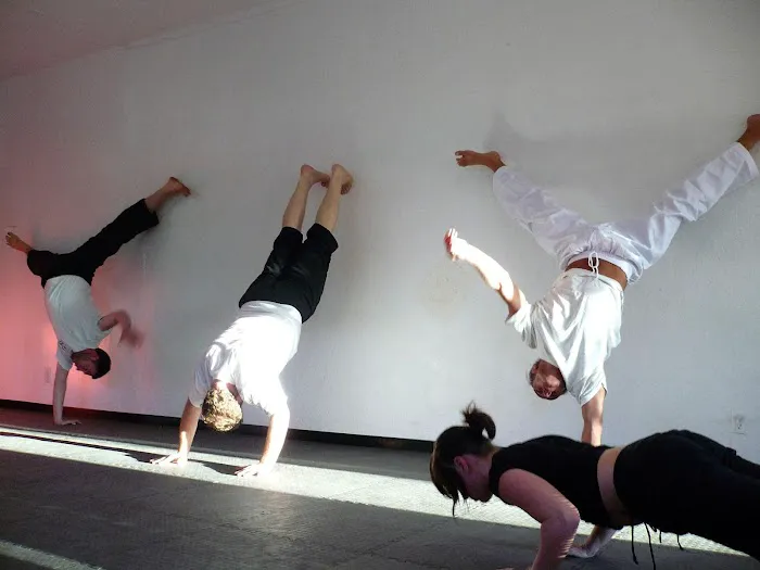 World Pa Kua Martial Arts & Health Picture 4