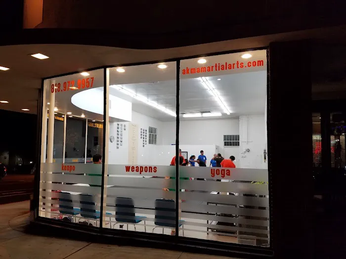 AKMA Martial Arts Picture 4