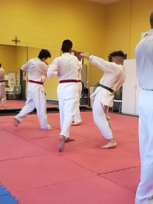 Ken Nagayama Martial Arts Picture 1