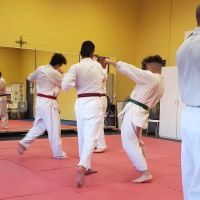 Ken Nagayama Martial Arts ico