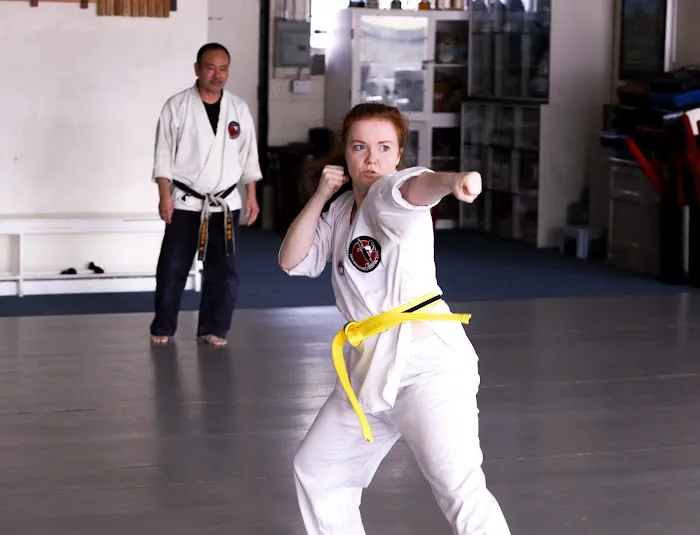 Ken Nagayama Martial Arts Picture 9