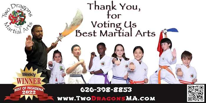 Two Dragons Martial Arts Studio Picture 4