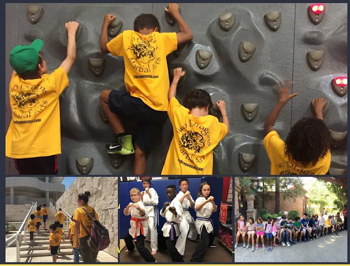 Two Dragons Martial Arts Studio Picture 6