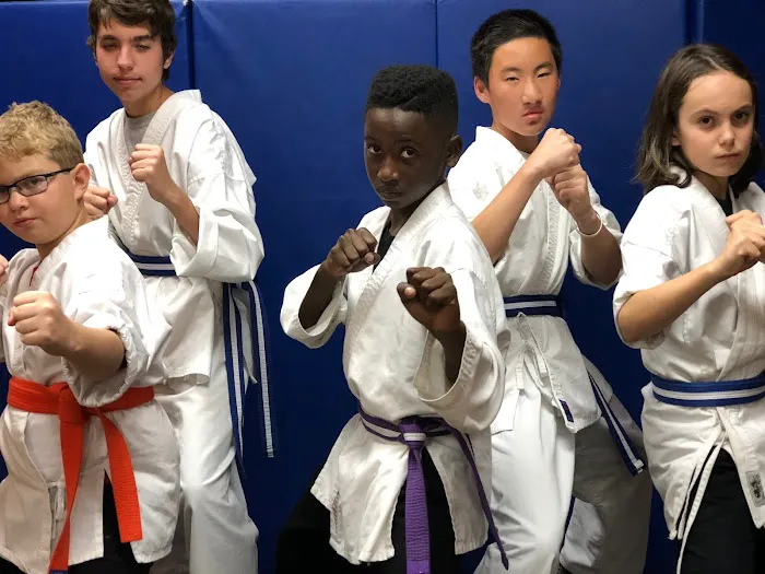 Two Dragons Martial Arts Studio Picture 7