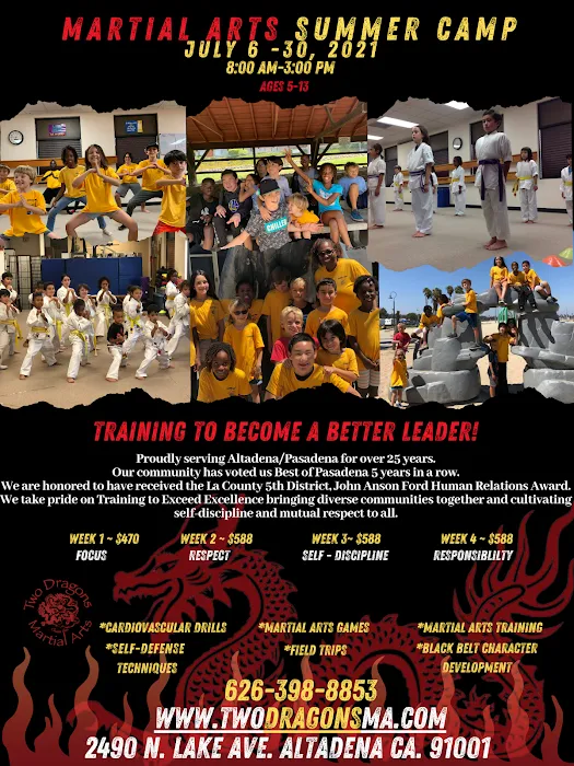 Two Dragons Martial Arts Studio Picture 9