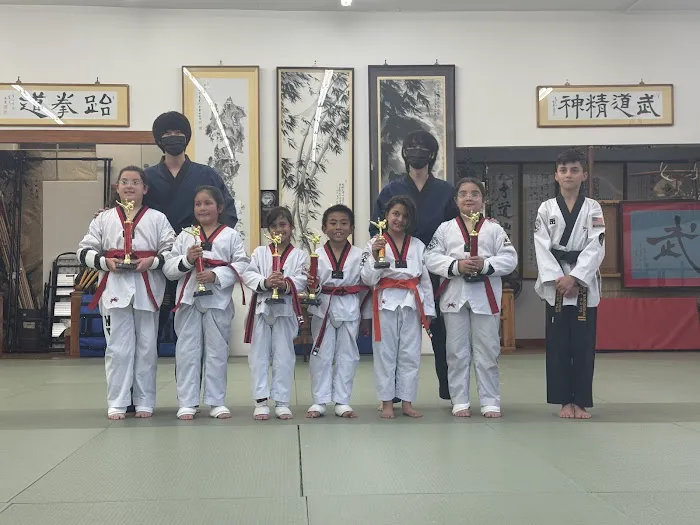 WTC Martial Arts (Sunland) Picture 7