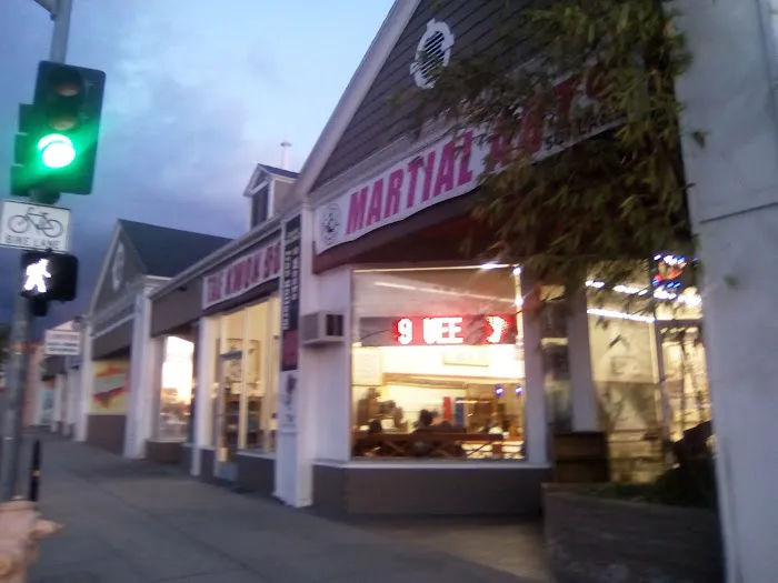 WTC Martial Arts (Sunland) Picture 3