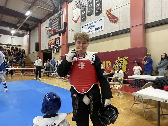 WTC Martial Arts (Sunland) Picture 5