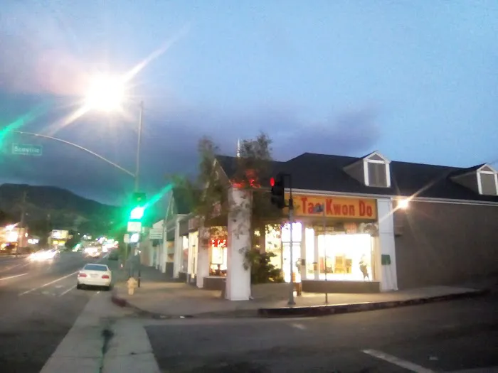 WTC Martial Arts (Sunland) Picture 4