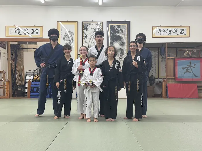 WTC Martial Arts (Sunland) Picture 8