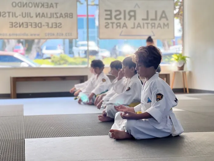 All Rise Martial Arts Picture 6