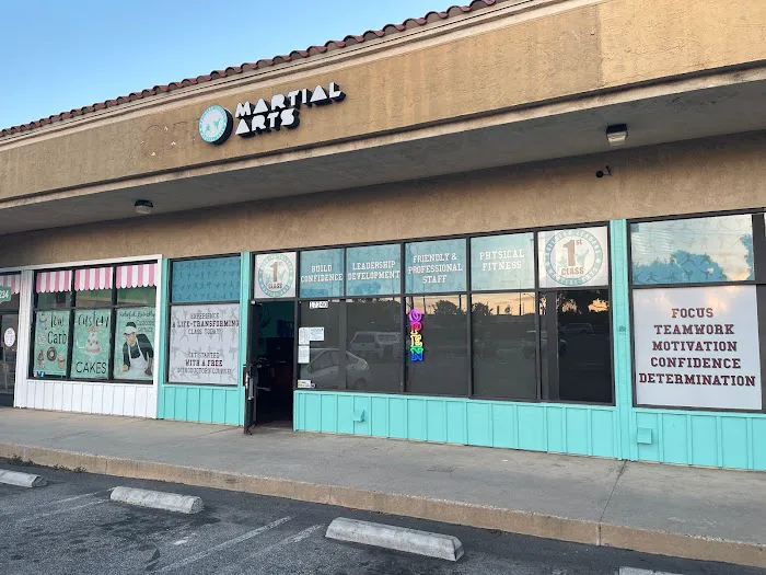 1st Class Martial Arts Picture 5