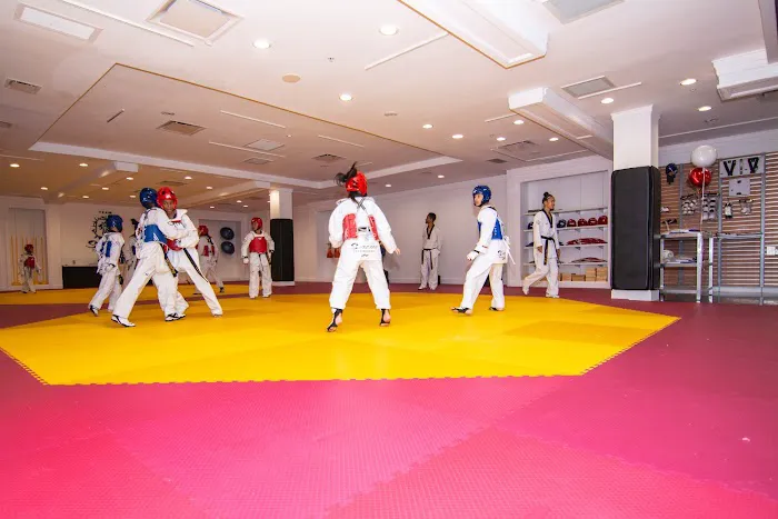 Salim's Taekwondo Center II, Inc. Picture 1