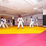 Salim's Taekwondo Center II, Inc.