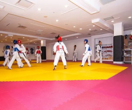 Salim's Taekwondo Center II, Inc.
