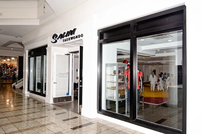 Salim's Taekwondo Center II, Inc. Picture 2