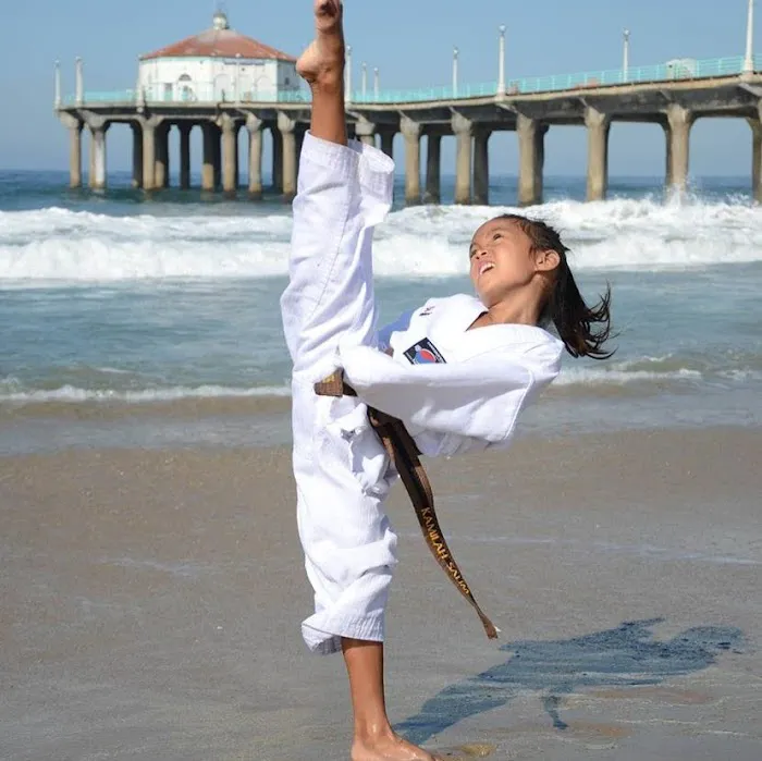 Salim's Taekwondo Center II, Inc. Picture 7