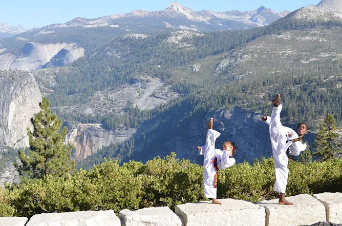 Salim's Taekwondo Center II, Inc. Picture 8