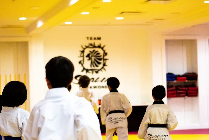 Salim's Taekwondo Center II, Inc. Picture 6