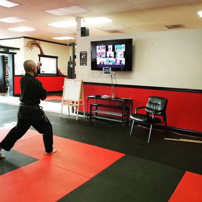 Evolution Academy of Martial Arts Picture 2