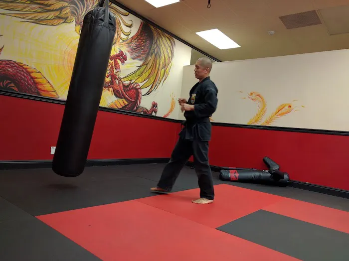 Evolution Academy of Martial Arts Picture 4