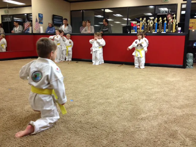 Evolution Academy of Martial Arts Picture 1