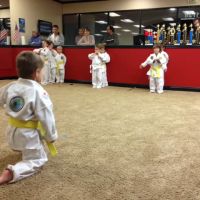 Evolution Academy of Martial Arts ico