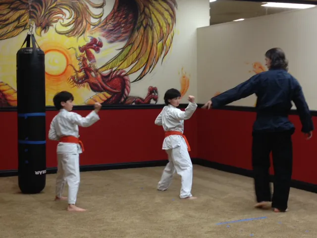 Evolution Academy of Martial Arts Picture 3