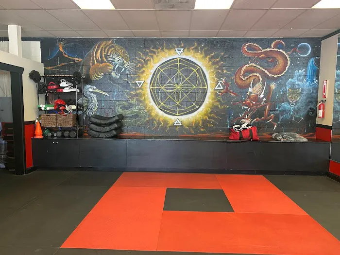 Evolution Academy of Martial Arts Picture 8