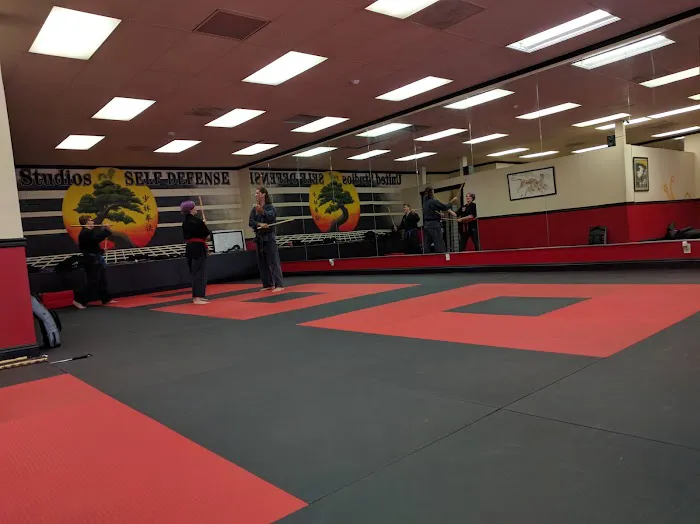 Evolution Academy of Martial Arts Picture 6