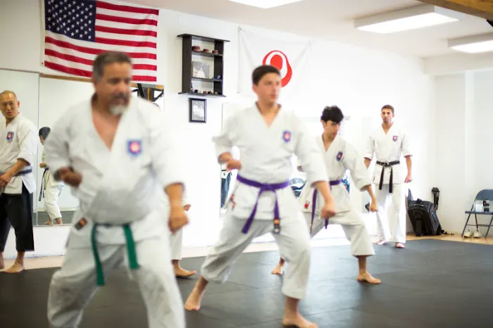 Koshiki Karate-Do Picture 4