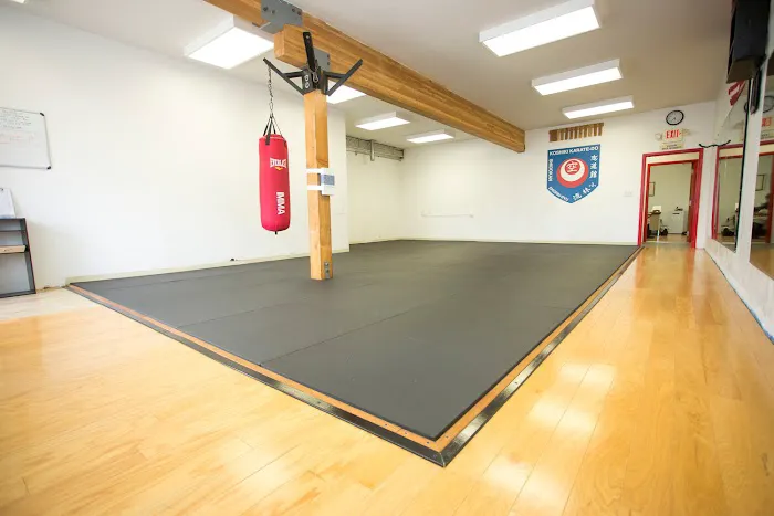 Koshiki Karate-Do Picture 5